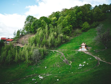 eco-friendly lodge